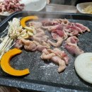 삼척오리마을 이미지