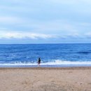 장사솔밭펜션 이미지