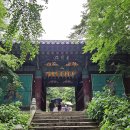 수덕사 진입로 이미지