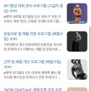 나우피티스튜디오 이미지