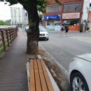 모전천 이미지