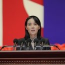 닮은사람들 이미지
