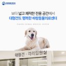 신내동물병원 이미지