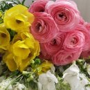 힐링 플라워 꽃꽂이 이미지