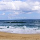 영진3리 이미지