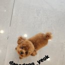 꾸꾸