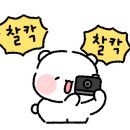 포토이즘박스수내