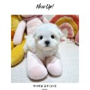 딜라잇독 이미지