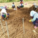 늘해랑농원 이미지