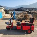 에코로 | 안동 삼륜전기오토바이 2인용 [AU테크 에코로 X5] 납품 후기 3륜전동스쿠터