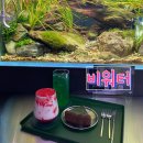 대흥로 | 대전이색 카페 특별함이 가득한 대전 대흥동 비워터 카페 데이트 후기