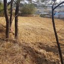 소나무공인중개사사무소 이미지