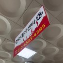 강구수산회센터민박 | 영덕 강구항 대게 내돈내산, 영덕대게센터 42호&amp;부산 회 수산