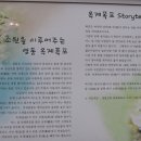 난계국악기 이미지