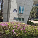 래미안용산공인중개사사무소 | 한강변 초고층 랜드마크, 이촌동 래미안 첼리투스 귀한 매물 전격 분석 (매매·반전세·월세 총정리)