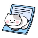 고양이묭실 이미지