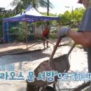 중곤농장 이미지