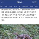 뱀도 미래 식량 될까…"성장속도 빠르고 사료 효율도 높아" 이미지