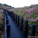 백우주유소 이미지