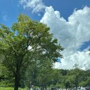 신녕천 고향의 강 공중화장실(1) | [일본 소도시 여행]일본 유네스코 세계문화유산 : 시라카와고 여행