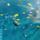 경포아쿠아리움박물관 이미지