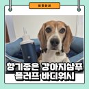 이든테라피 | 향기 좋은 강아지 아로마 샴푸 플러프 바디워시