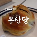 본스타소프트 | 성심당 옆에 사는 대전사람, 부산당(해운대본점) 방문 후기