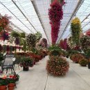 광주농협 로컬푸드직매장 동광주점 이미지