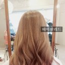 헤어팔레트 이미지