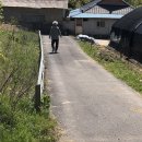 중천마을회관 이미지