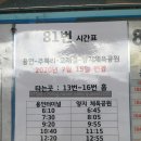 양지체육관 네이버블로그
