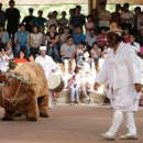 경동로(송현동) 이미지