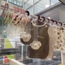 디어 마이 망고 이미지