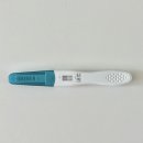 (주)태명실업 | 나의 임신 기록 (초기~중기 24주까지)