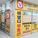 비발디조현욱공인중개사사무소 네이버블로그