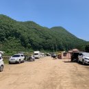 덕사리구절초마을