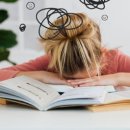 성북초등 이미지