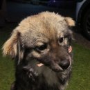 똘멍이네 이미지