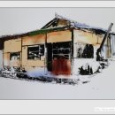 남일상회 이미지