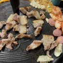 니가사는고기 이미지
