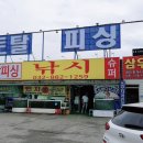 영흥바다낚시터 이미지