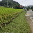 위곡3리 마을회관 이미지