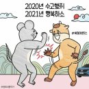 백구댁 이미지