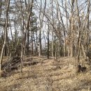 미산정미소 이미지