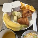 에코리사 | (250922) 미국 LA 여행 DAY14. LA 일일투어 내돈내산 후기