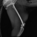 블루동물종합병원 이미지