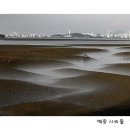 미러리스로 찍어 본 백중사리물때 이미지