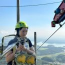 하동솔밭오리 이미지