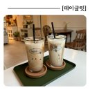 데이글릿 이미지
