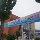 오동동177 이미지